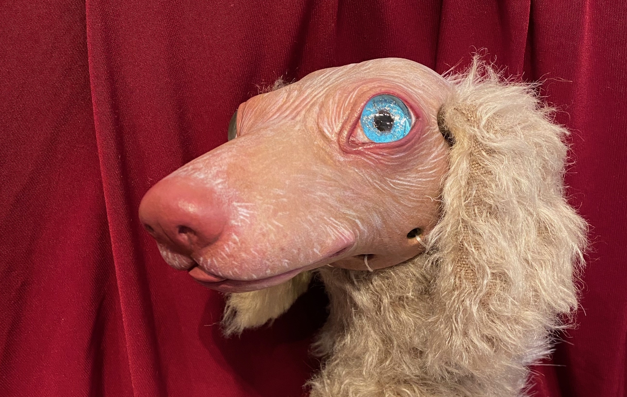 Noe/高橋野枝 – みそろぎ人形展2025